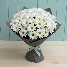 Букет цветов из:  Хризантемы в Льялово