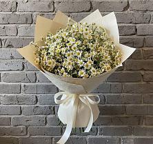 Букет цветов из:  Ромашки в Льялово