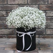 Цветочная композиция из Гипсофила в шляпной коробке в Льялово