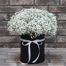 Цветочная композиция из Гипсофила в шляпной коробке в Льялово