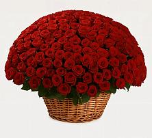 Премиум букет из: Розы #REPLACE_PRED# Льялово